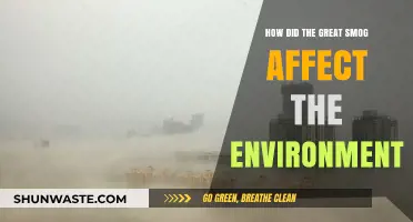 The Great Smog's Environmental Impact: A Historical Analysis of Pollution