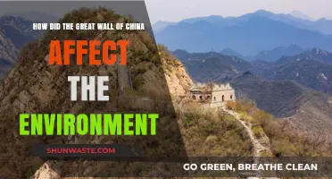 The Great Wall's Environmental Impact: A Historical and Ecological Analysis