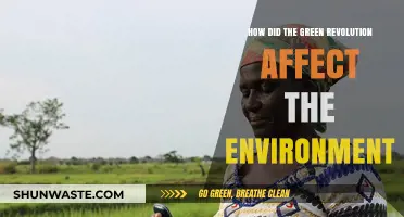 Green Revolution's Environmental Impact: Progress, Challenges, and Sustainability Lessons