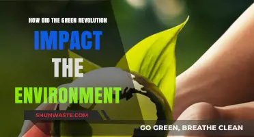 Green Revolution's Environmental Impact: Progress, Consequences, and Sustainability Challenges