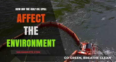 Gulf Oil Spill's Devastating Environmental Impact: A Comprehensive Analysis