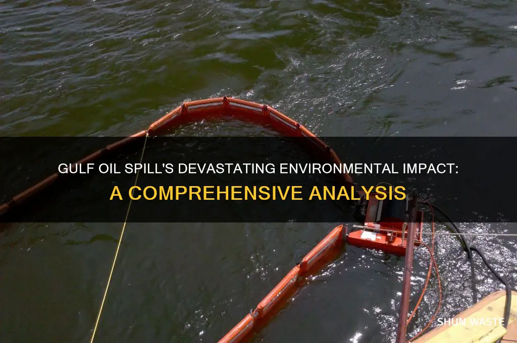 how did the gulf oil spill affect the environment