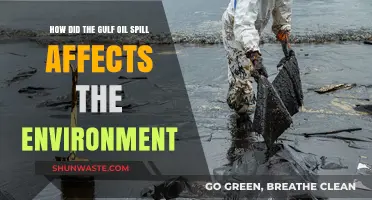 Gulf Oil Spill's Devastating Environmental Impact: A Comprehensive Analysis