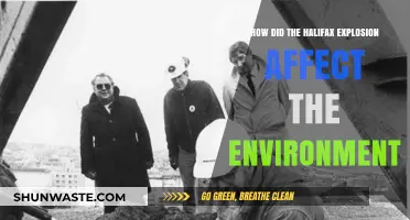 Halifax Explosion's Environmental Impact: Long-Term Effects on Land and Sea