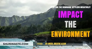 Hawaiian Settlers' Environmental Legacy: Unintended Consequences on the Islands
