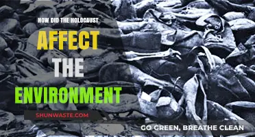 Holocaust's Environmental Legacy: Destruction, Pollution, and Long-Term Ecological Impacts