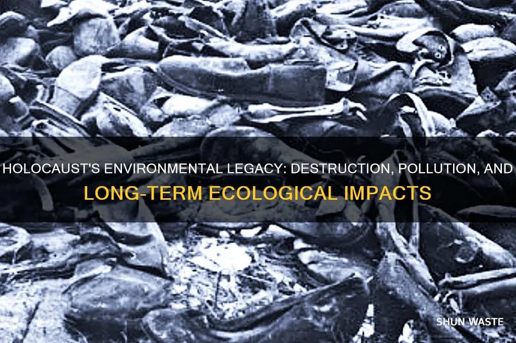 how did the holocaust affect the environment