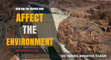 Hoover Dam's Environmental Impact: Changes, Challenges, and Consequences Explored