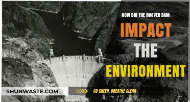 Hoover Dam's Environmental Legacy: Benefits, Challenges, and Ecosystem Changes