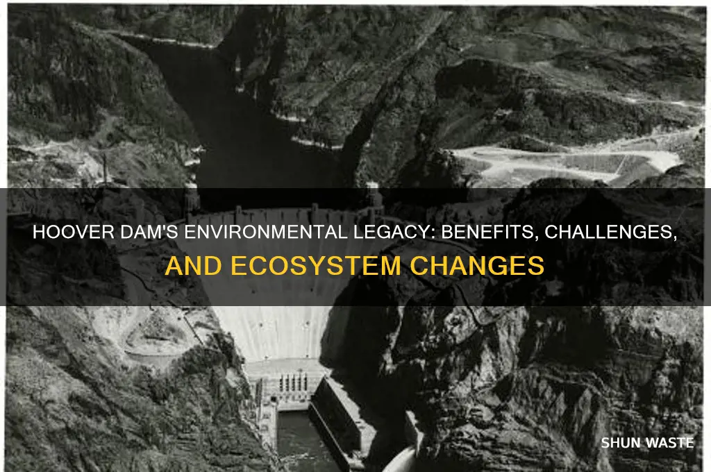 how did the hoover dam impact the environment
