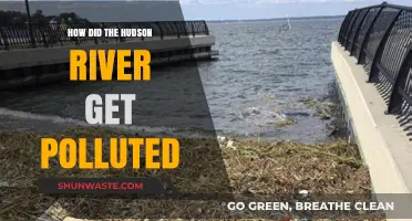 The Hudson River Pollution: A Historical Overview