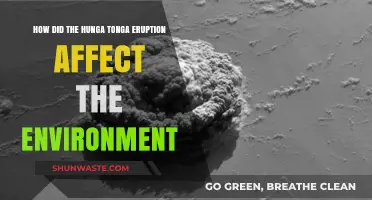 Hunga Tonga Eruption's Environmental Impact: A Comprehensive Analysis