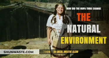 Hupa Tribe's Impact: Transforming the Natural Environment Through Traditional Practices