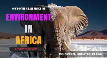 Ice Age's Impact on Africa's Environment: A Comprehensive Overview