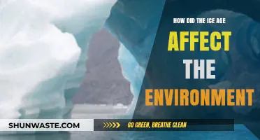 Ice Age Impacts: Transforming Landscapes, Ecosystems, and Global Climate Patterns