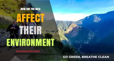 Inca Environmental Impact: Shaping Landscapes and Ecosystems in Ancient Peru