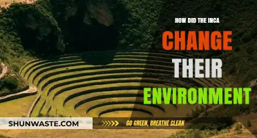 Inca Innovations: Transforming Landscapes and Shaping Their Environment