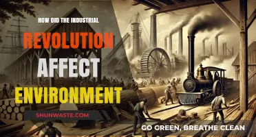 Industrial Revolution's Environmental Impact: Pollution, Deforestation, and Climate Change