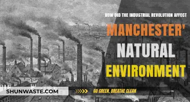 Manchester's Environmental Transformation: Industrial Revolution's Impact on Nature