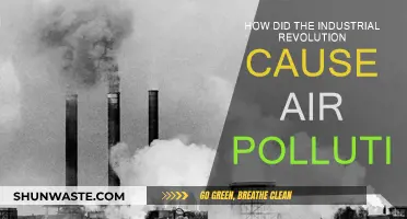 The Industrial Revolution's Legacy: Air Pollution's Rise