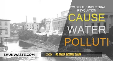 Industrial Revolution's Legacy: Waterways Turned Poisoned by Progress