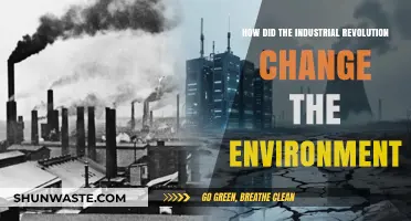 Industrial Revolution's Environmental Impact: Transforming Landscapes and Ecosystems Forever