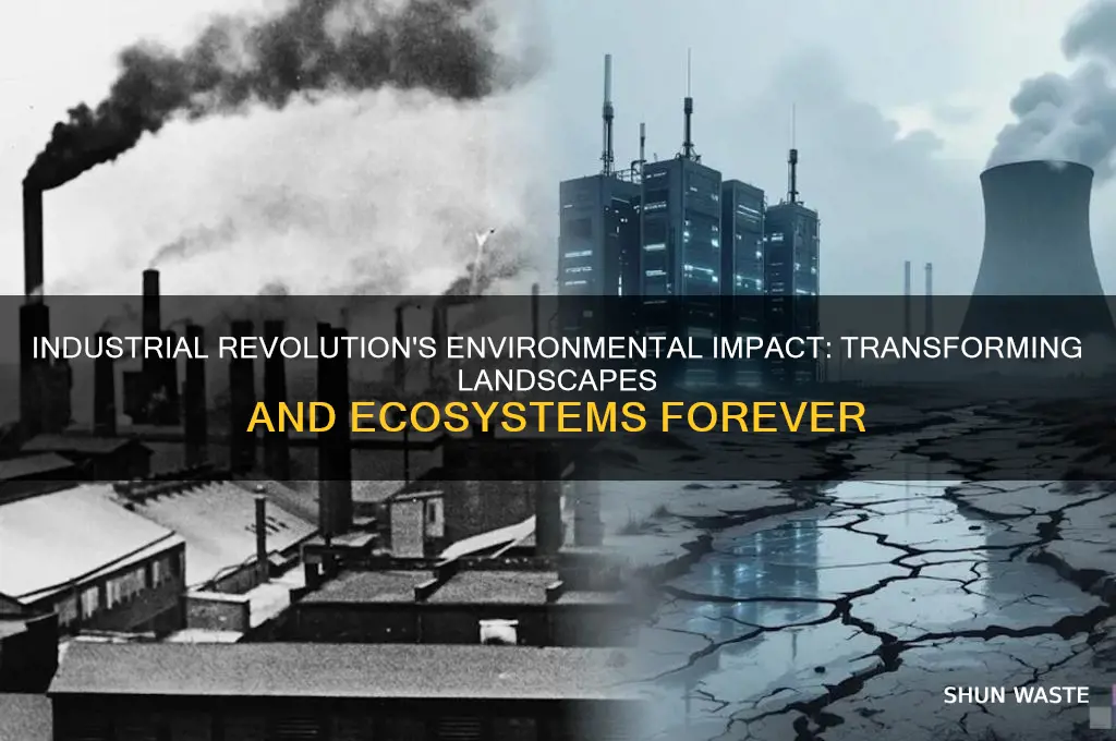 how did the industrial revolution change the environment