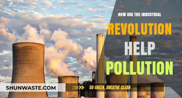 Industrial Revolution's Dark Side: Pollution's Birth