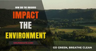 Iroquois Environmental Stewardship: Shaping Land, Culture, and Sustainability