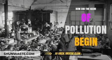 The Dark History of Pollution: When Did it Begin?