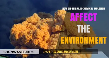 Jilin Chemical Explosion: Environmental Impact and Long-Term Consequences