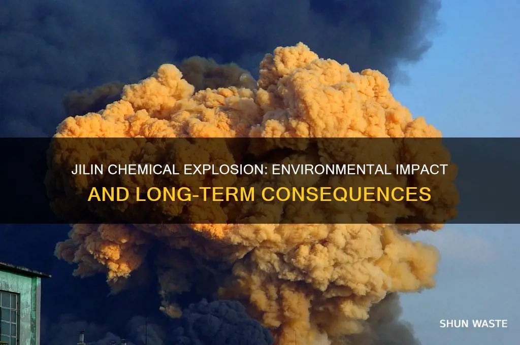 how did the jilin chemical explosion affect the environment