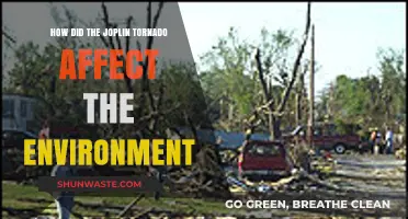 Joplin Tornado's Environmental Impact: Destruction, Recovery, and Ecosystem Changes