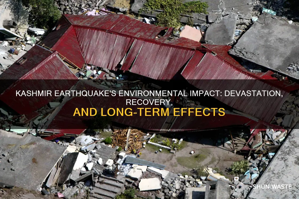 how did the kashmir earthquake affect the environment