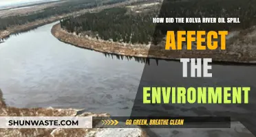 Kolva River Oil Spill: Environmental Impact and Long-Term Consequences