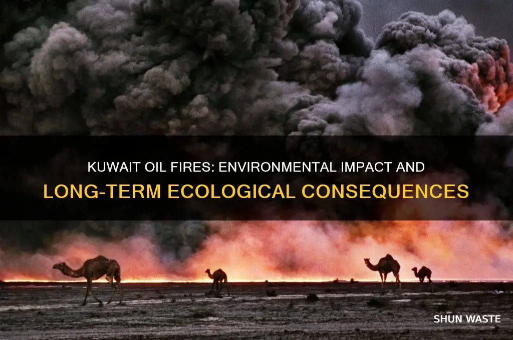 how did the kuwait oil fires affect the environment