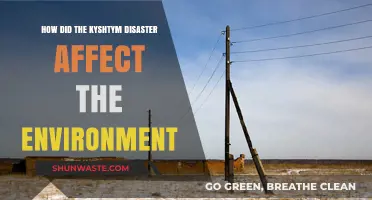 Kyshtym Disaster's Devastating Environmental Impact: A Comprehensive Analysis