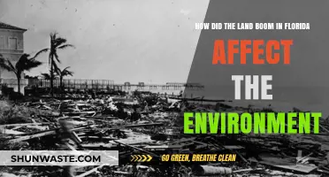 Florida's Land Boom: Environmental Impacts and Lasting Consequences