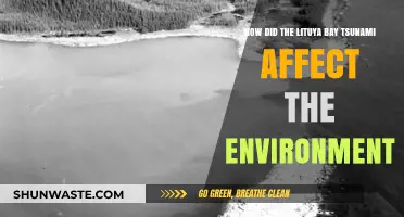 Lituya Bay Tsunami's Environmental Impact: A Comprehensive Analysis