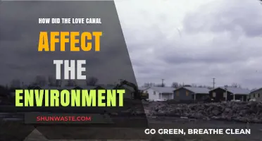 Love Canal's Toxic Legacy: Environmental Devastation and Long-Term Consequences