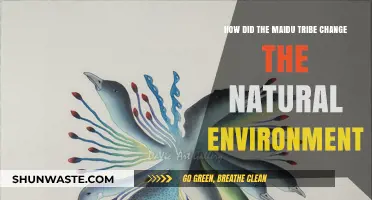 Maidu Tribe's Impact: Transforming California's Natural Environment Through Traditional Practices