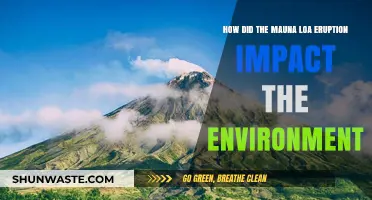 Mauna Loa's Eruption: Environmental Consequences and Ecosystem Disruption Explored