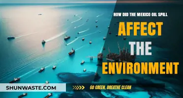 Mexico Oil Spill's Devastating Environmental Impact: A Comprehensive Analysis