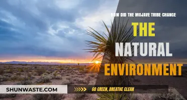 Mojave Tribe's Impact: Transforming the Mojave Desert's Natural Landscape