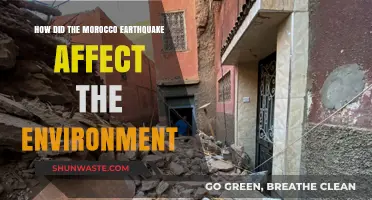 Morocco Earthquake's Environmental Impact: Assessing the Aftermath and Ecosystem Changes
