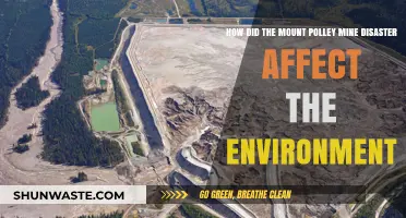 Mount Polley Mine Disaster: Environmental Impacts and Long-Term Consequences