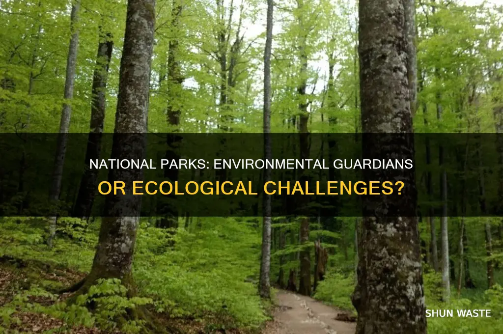 how did the national park system impact the environment