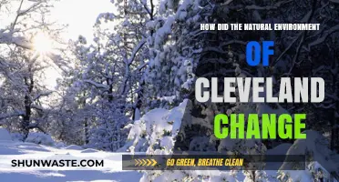 Cleveland's Evolving Landscape: A Journey Through Its Changing Natural Environment