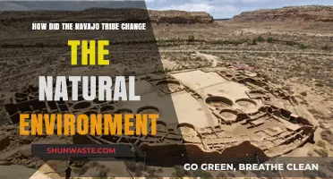 Navajo Tribe's Impact: Transforming the Natural Environment Through Adaptation