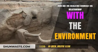 Neolithic Revolution: Transforming Human-Environment Dynamics and Sustainability